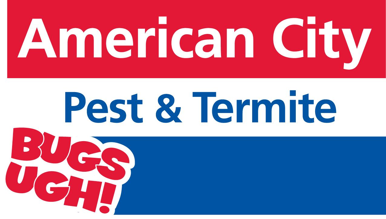 /wp-content/uploads/2026/06/american-city-logo.png
